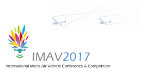IMAV2017 logo
