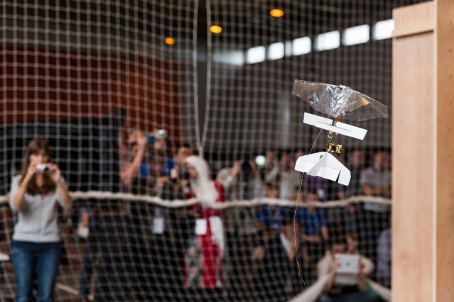 Competition gallery