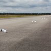 Competition gallery